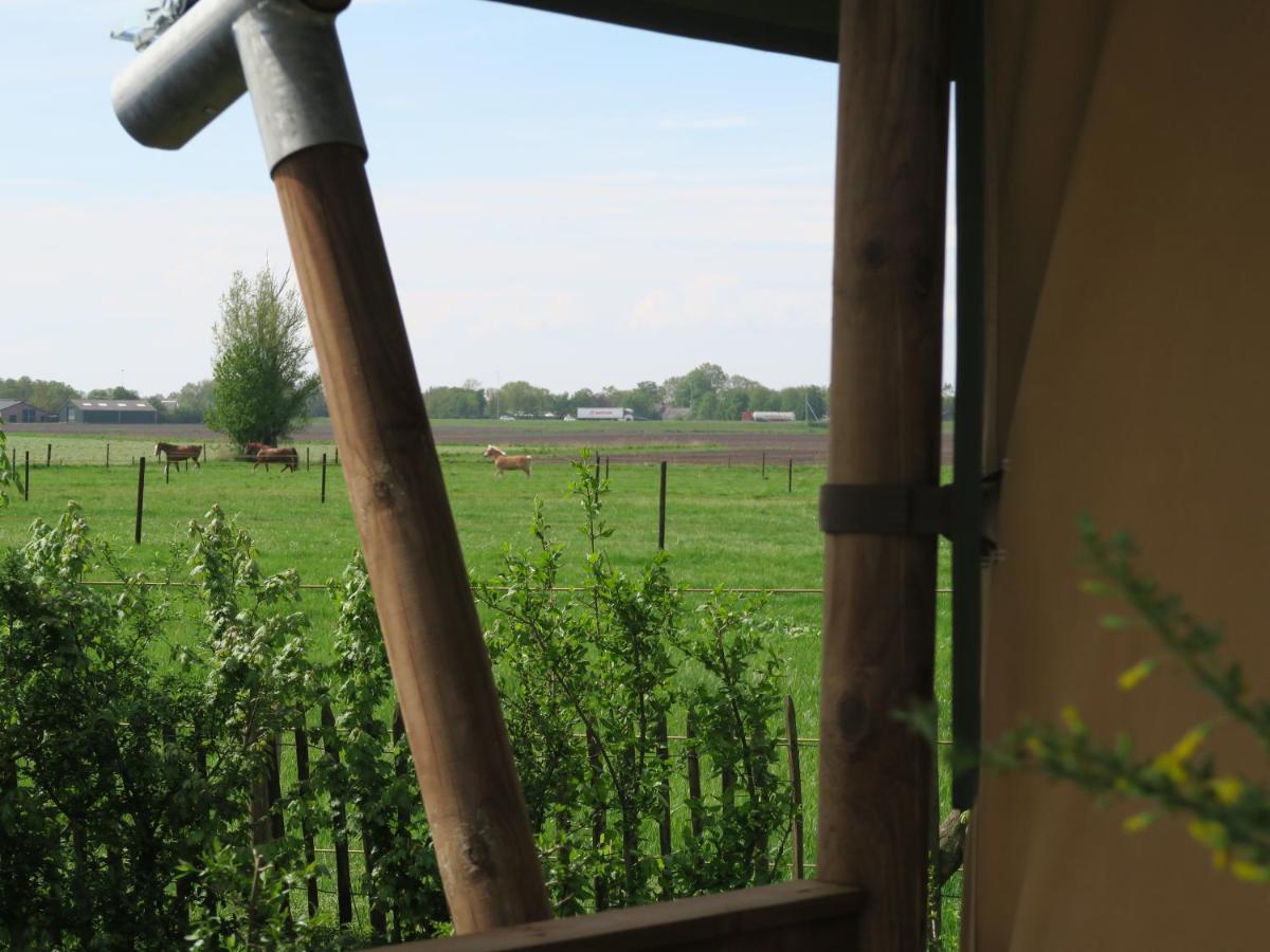 Luxury tent Luxe Safaritenten Petit013 - Nieuw