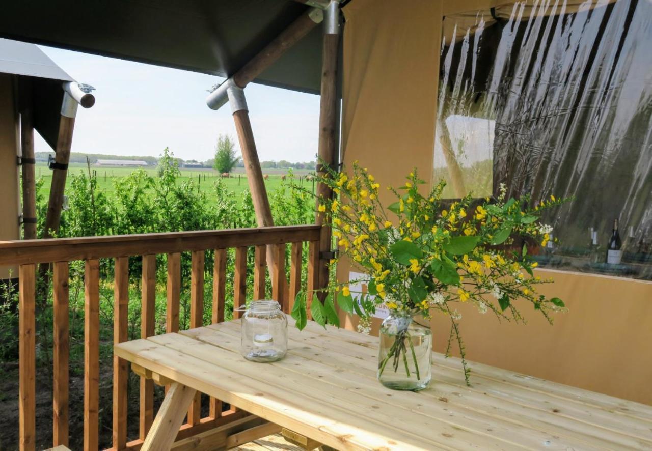Luxe Safaritenten Petit013 - Nieuw Luxury tent Tilburg