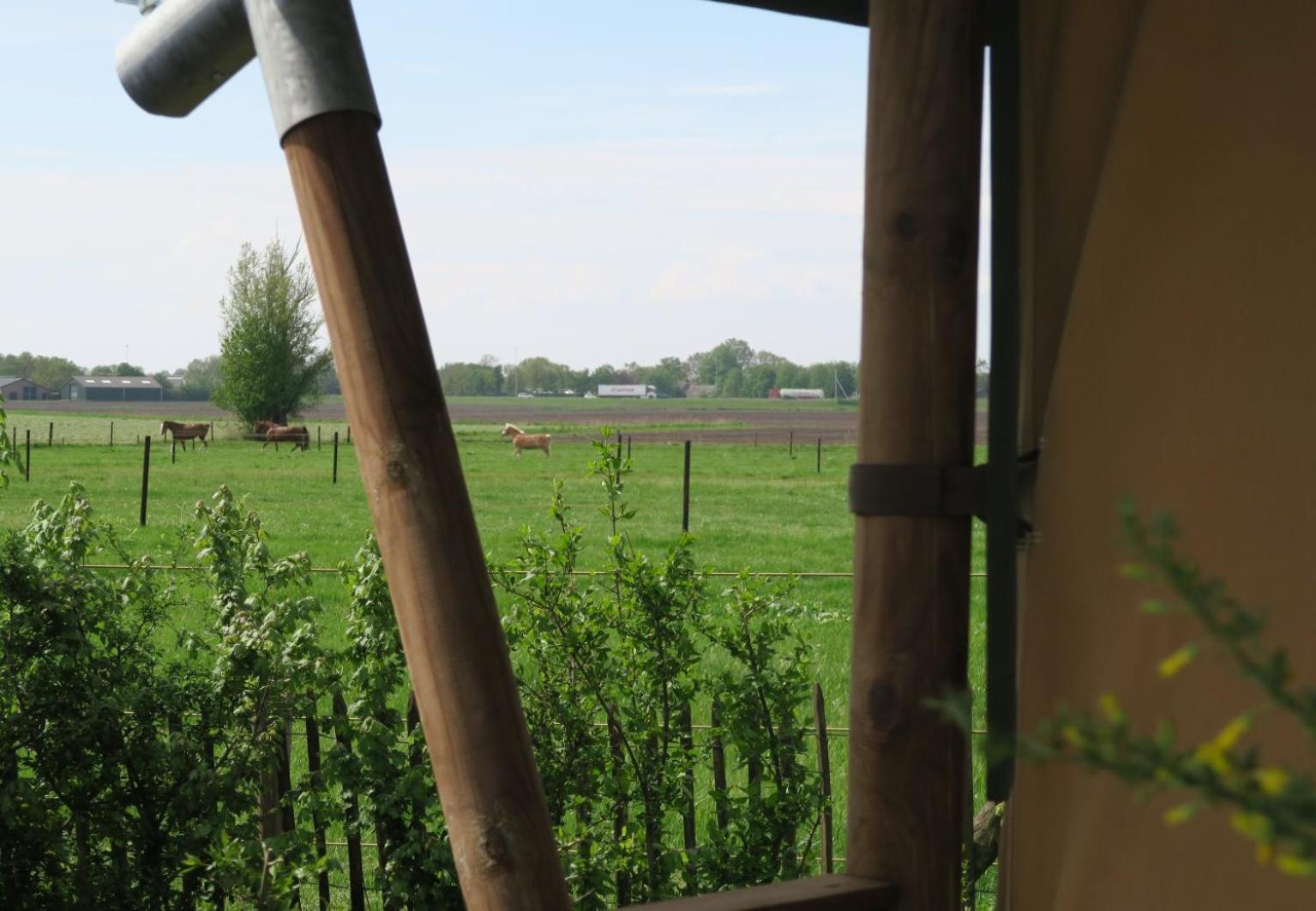 Luxe Safaritenten Petit013 - Nieuw Luxury tent