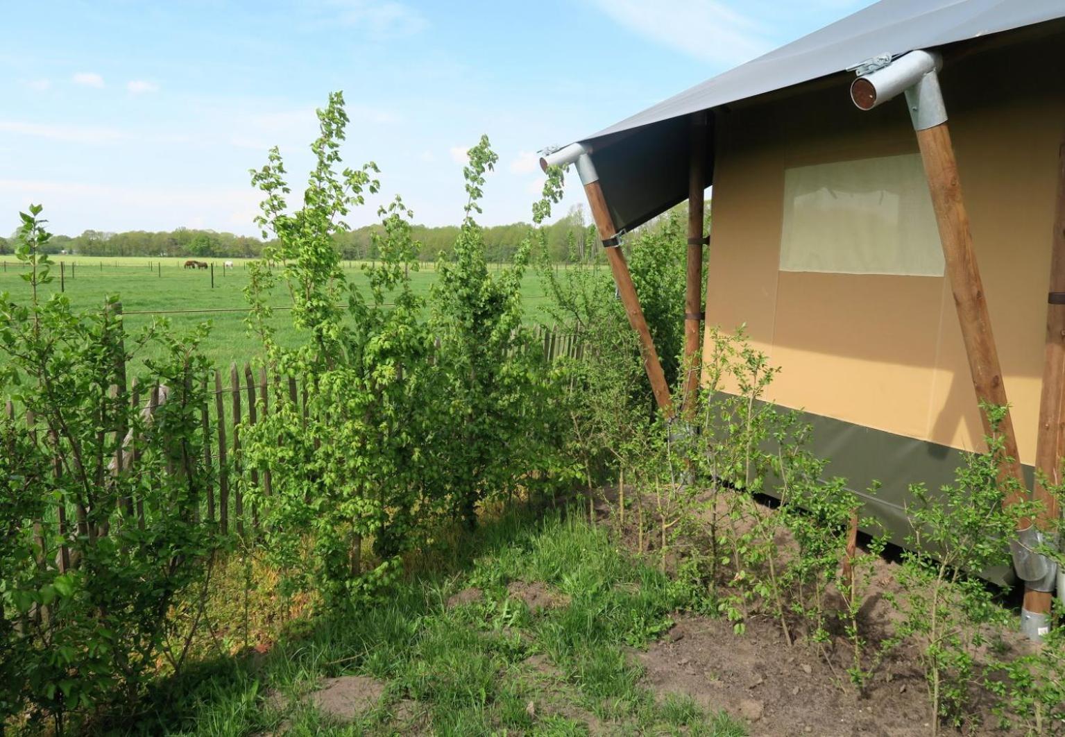 Luxury tent Luxe Safaritenten Petit013 - Nieuw
